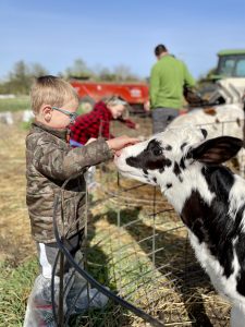Finding Farm Animals: 7 Family Favorites